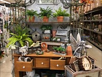 Home Decor
